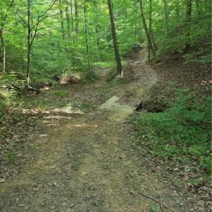 Photo #31 of xx 31.85 +-ac Hampton, Germanton, NC 31.9 acres
