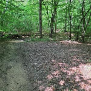 Photo #29 of xx 31.85 +-ac Hampton, Germanton, NC 31.9 acres