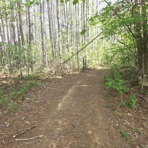 Photo #8 of xx 31.85 +-ac Hampton, Germanton, NC 31.9 acres