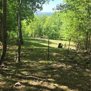 Along the trail - looking back over the neighbors pasture and the views in the distance