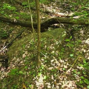 Photo #16 of Goose Creek, Ararat, VA 10.6 acres