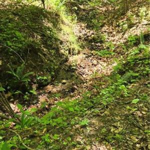Photo #14 of Goose Creek, Ararat, VA 10.6 acres