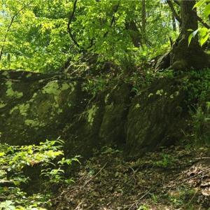 Photo #15 of Goose Creek, Ararat, VA 10.6 acres