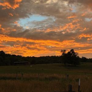 Photo #16 of 2524 Edmonds, Galax, VA 0.1 acres
