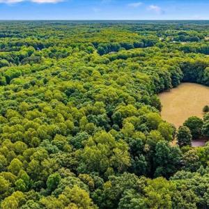 Photo #7 of 8471 Linville, Oak Ridge, NC 14.7 acres
