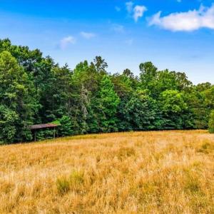 Photo #3 of 8471 Linville, Oak Ridge, NC 14.7 acres