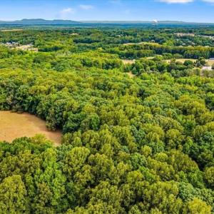 Photo #8 of 8471 Linville, Oak Ridge, NC 14.7 acres