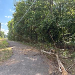 Photo #7 of Cure, Madison, NC 13.9 acres