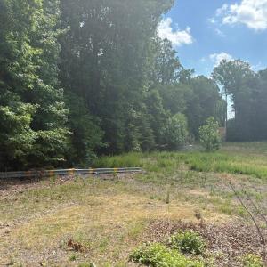 Photo #14 of Cure, Madison, NC 13.9 acres