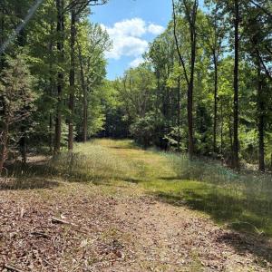 Photo #8 of Cure, Madison, NC 13.9 acres