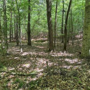 Photo #2 of Lot 5 Woods, Seagrove, NC 11.1 acres