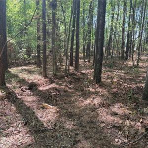 Photo #6 of Lot 5 Woods, Seagrove, NC 11.1 acres