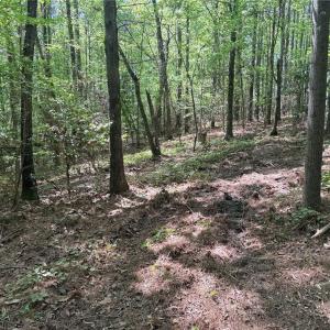 Photo #7 of Lot 5 Woods, Seagrove, NC 11.1 acres