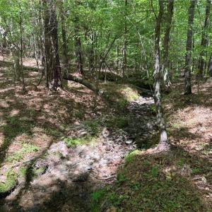 Photo #9 of Lot 5 Woods, Seagrove, NC 11.1 acres