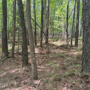 Photo #8 of Lot 5 Woods, Seagrove, NC 11.1 acres