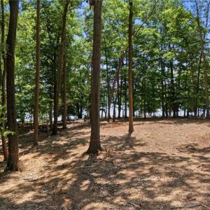 Photo #6 of 268 Kendricks, Lexington, NC 2.7 acres