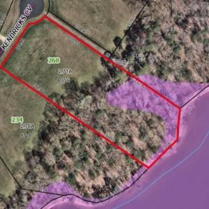 Estimated lot lines from the Davidson County GIS