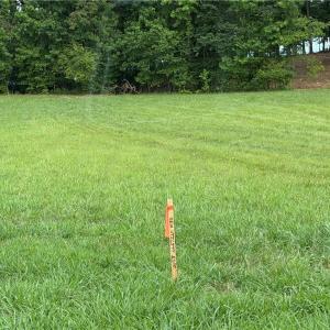 Photo #5 of 268 Kendricks, Lexington, NC 2.7 acres