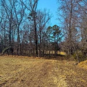 Photo #13 of 1710 Efland Cedar Grove, Efland, NC 10.2 acres