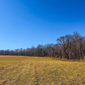 Photo #12 of 1710 Efland Cedar Grove, Efland, NC 10.2 acres