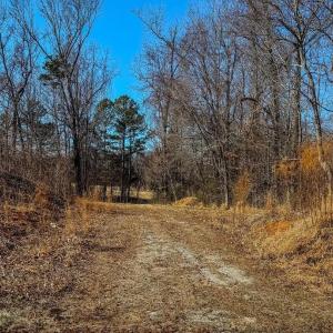 Photo #14 of 1710 Efland Cedar Grove, Efland, NC 10.2 acres