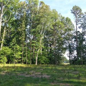 Photo #13 of 6810 Sawyer, Liberty, NC 11.4 acres