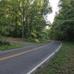 Photo #5 of 6810 Sawyer, Liberty, NC 11.4 acres