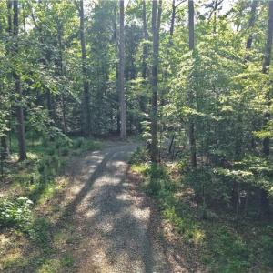 Photo #9 of 6810 Sawyer, Liberty, NC 11.4 acres