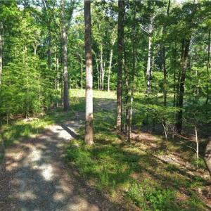Photo #10 of 6810 Sawyer, Liberty, NC 11.4 acres