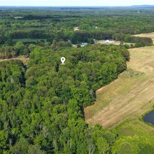 Photo #4 of 6810 Sawyer, Liberty, NC 11.4 acres