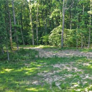 Photo #12 of 6810 Sawyer, Liberty, NC 11.4 acres