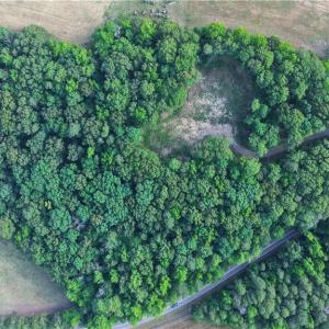Photo #24 of 6810 Sawyer, Liberty, NC 11.4 acres