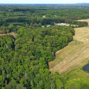 Photo #21 of 6810 Sawyer, Liberty, NC 11.4 acres