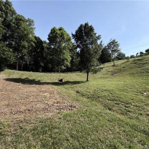 Photo #9 of Stewart, Walnut Cove, NC 13.9 acres