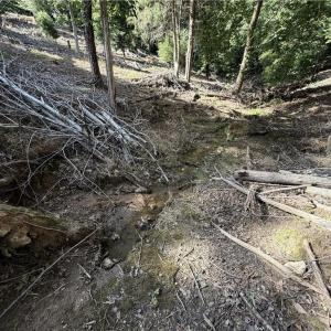 Photo #13 of Stewart, Walnut Cove, NC 13.9 acres