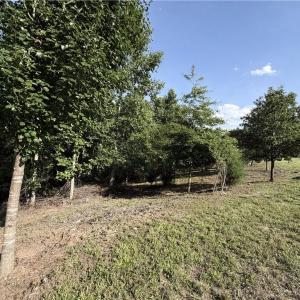 Photo #11 of Stewart, Walnut Cove, NC 13.9 acres