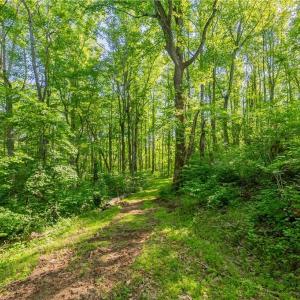 Photo #46 of 8730 Lee, Copper Hill, VA 43.6 acres