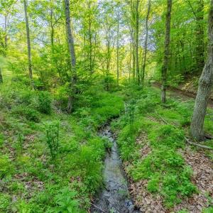 Photo #13 of 8730 Lee, Copper Hill, VA 43.6 acres