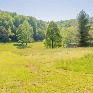Photo #43 of 8730 Lee, Copper Hill, VA 43.6 acres