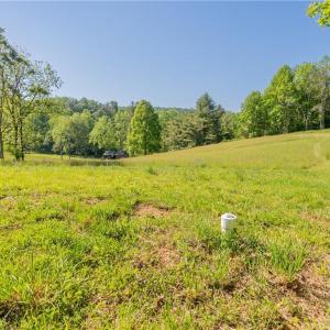 Photo #36 of 8730 Lee, Copper Hill, VA 43.6 acres