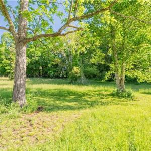 Photo #28 of 8730 Lee, Copper Hill, VA 43.6 acres