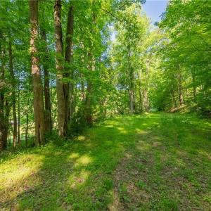 Photo #34 of 8730 Lee, Copper Hill, VA 43.6 acres
