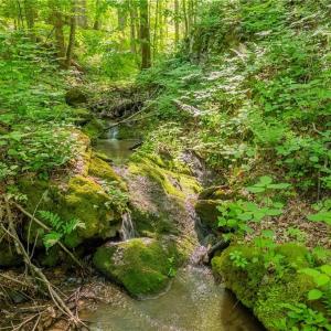 Photo #49 of 8730 Lee, Copper Hill, VA 43.6 acres