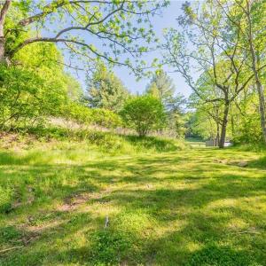 Photo #14 of 8730 Lee, Copper Hill, VA 43.6 acres