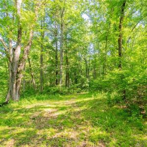 Photo #45 of 8730 Lee, Copper Hill, VA 43.6 acres
