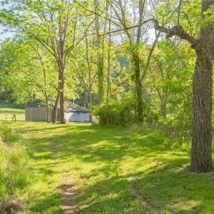Photo #15 of 8730 Lee, Copper Hill, VA 43.6 acres