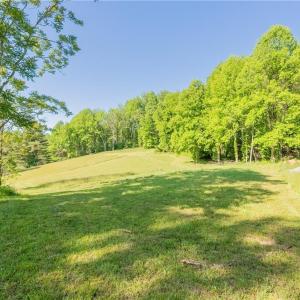 Photo #35 of 8730 Lee, Copper Hill, VA 43.6 acres