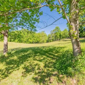 Photo #29 of 8730 Lee, Copper Hill, VA 43.6 acres