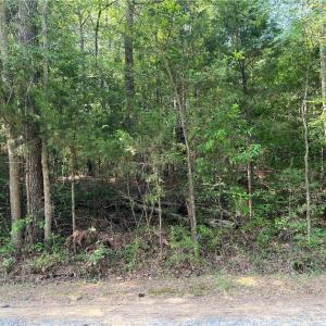 Photo #2 of Silver Maple, Sophia, NC 0.5 acres