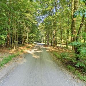 Photo #15 of Roy Coppley, Lexington, NC 16.9 acres